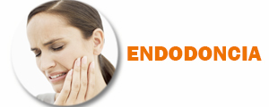 endodoncia boton