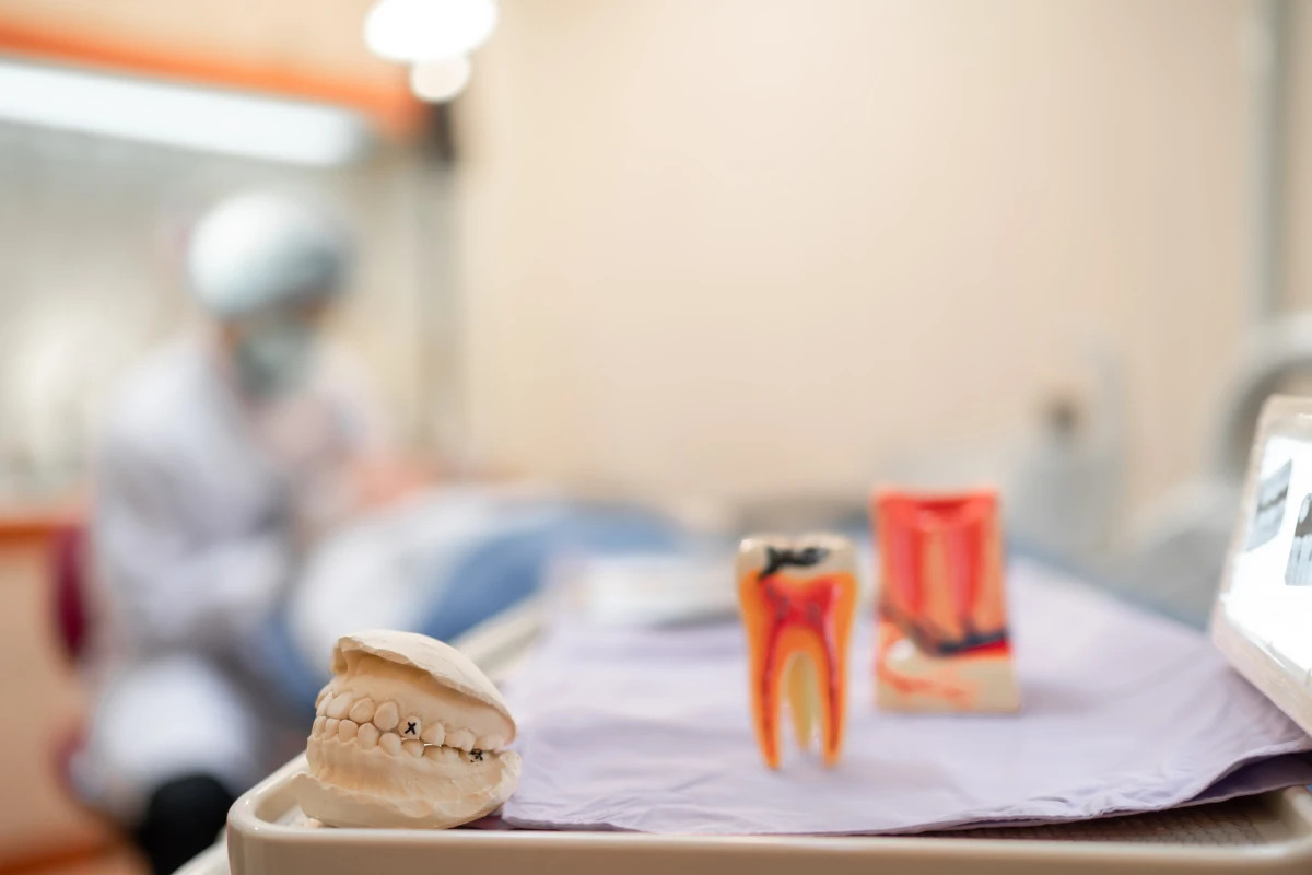 Solucion Efectiva Endodoncia Coi Palma